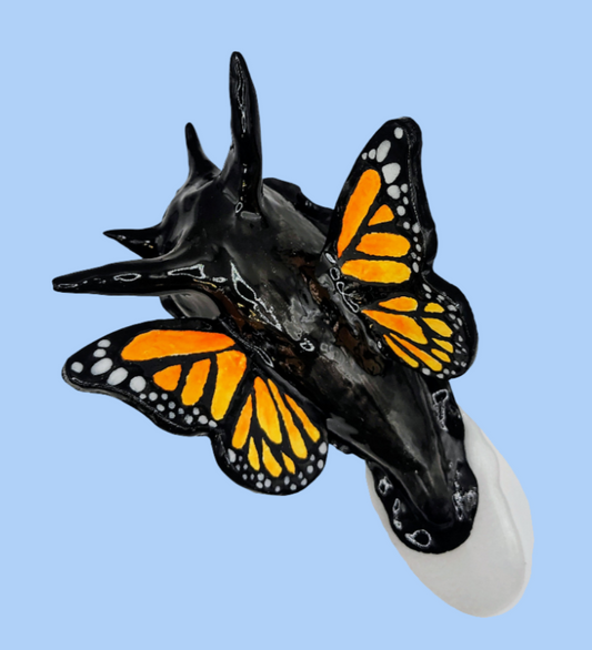 Monarch Metamorphosis
