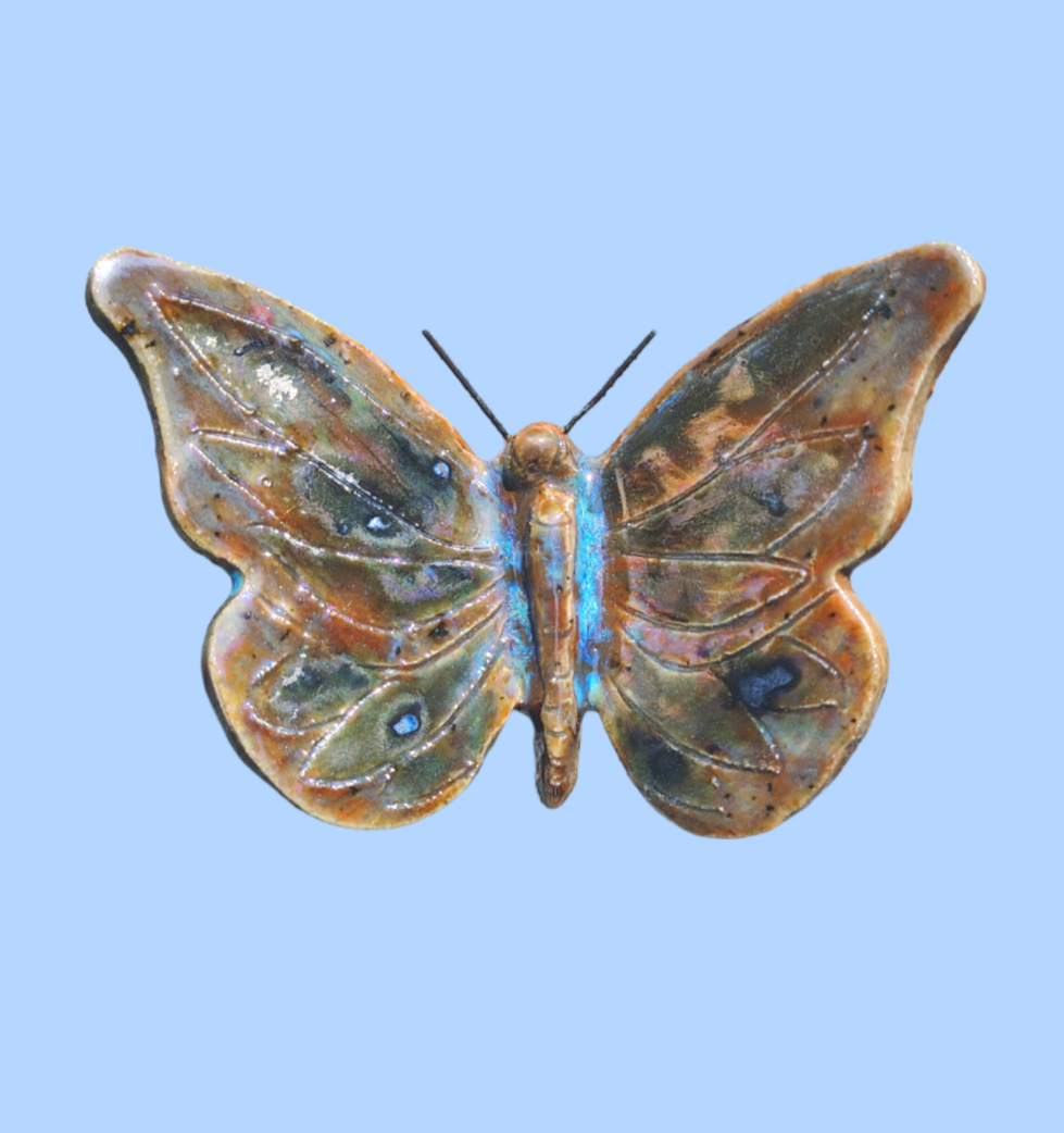 Painted Desert Butterfly