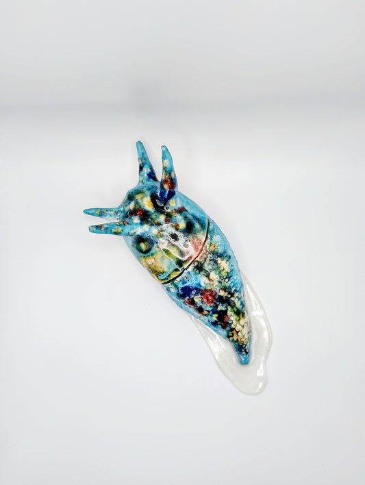 She's A Rainbow Slug