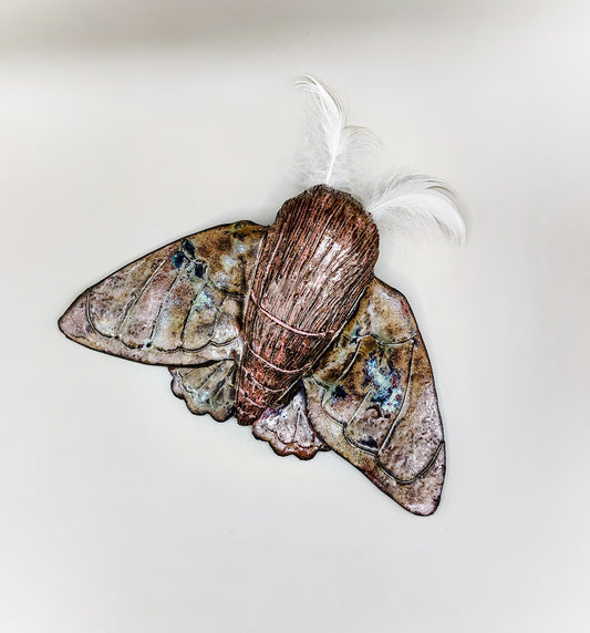 Twilight Garden Moth